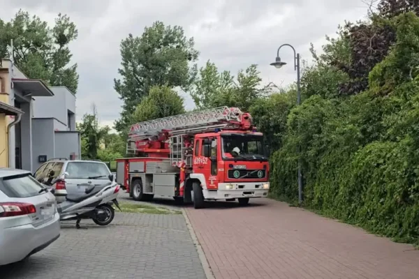 Interwencje strażaków z Wągrowca: usunięcie zagrożenia i wypadek na DW190