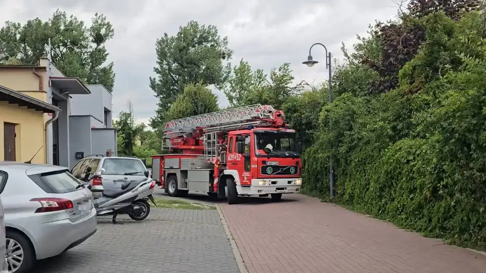 Interwencje strażaków z Wągrowca: usunięcie zagrożenia i wypadek na DW190