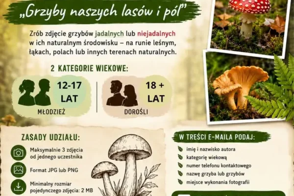 Konkurs fotograficzny „Grzyby naszych lasów i pól” w Gołańczy – zostały ostatnie tygodnie na zgłoszenia