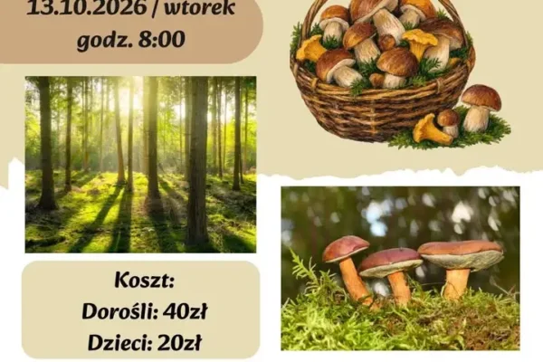 Grzybobranie w Wyszynach – GOK Damasławek zaprasza na wspólny wyjazd