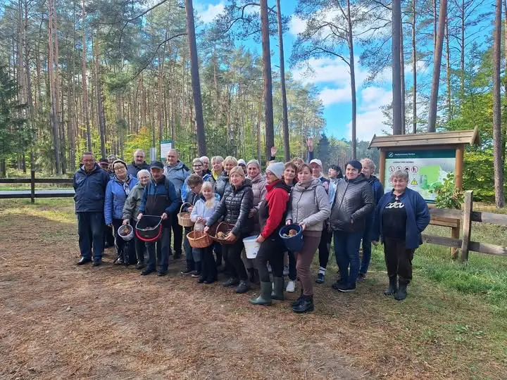 Grzybobranie z GOK Damasławek – relacja z wyjazdu do Wyszyn